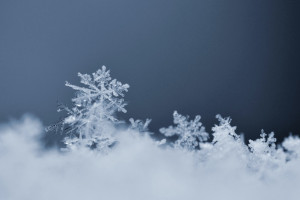 Во Владимире предупредили о снегопаде 18 февраля