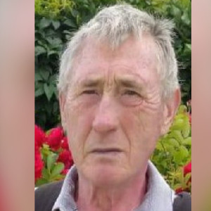 Владимирцев позвали на поиски 79-летнего мужчины на серебристом скутере