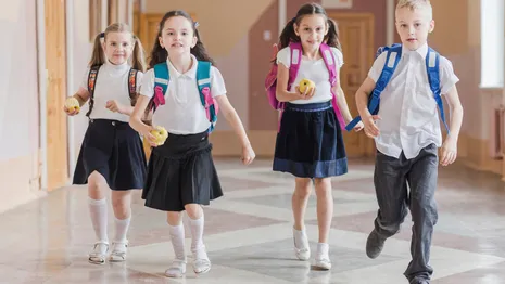 Горячее питание получат 75% школьников Владимирской области