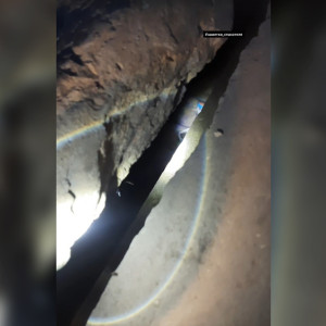 Во Владимирской области спасли провалившегося под бетонную плиту котенка