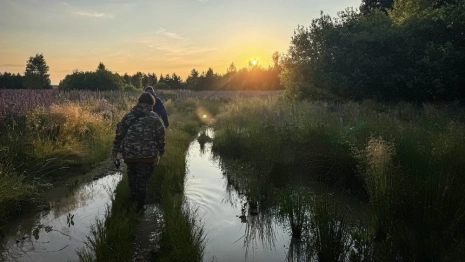 Владимирские волонтеры прочесали 100 км леса в поисках заблудившегося 64-летнего мужчины