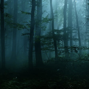 Во Владимире пропал 47-летний мужчина с черной сумкой