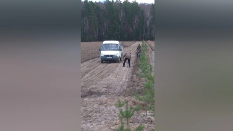 В истории о скандально известном кладбище в Соколе произошел новый поворот