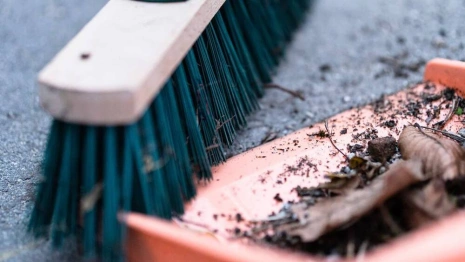 Общегородской субботник во Владимире пройдет 15 октября
