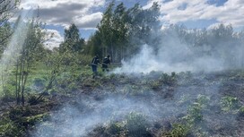 У деревни под Камешково пожар охватил 500 квадратов травы