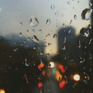 Во Владимирскую область вернутся проливные дожди