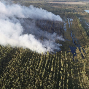 За лесным пожаром в Камешковском районе начали следить беспилотники