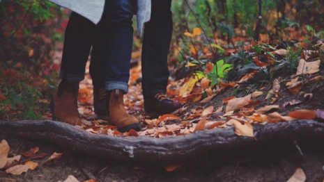 Прогноз погоды во Владимирской области на 4 ноября