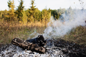 Во владимирском микрорайоне Коммунар загорелась трава