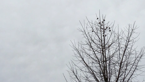 Прогноз погоды во Владимирской области на 3 октября