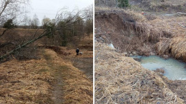 Жители владимирской деревни оказались отрезаны от цивилизации из-за паводка