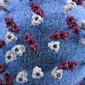 Во Владимирской области санврачи подтвердили 82 случая ковида