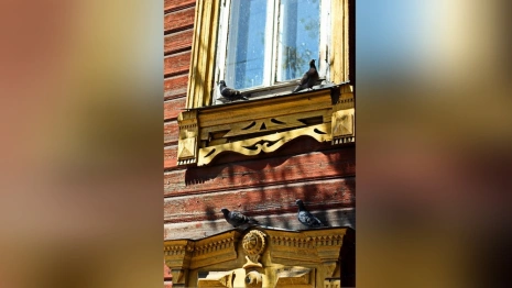 Во Владимирской области райцентр решили превратить в туристический город