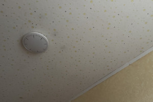 В одном из домов на улице 850-летия во Владимире рухнул потолок