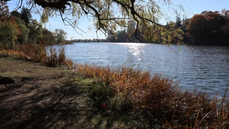 Во Владимирской области от воды освободились пять участков