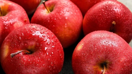 Яблочный Спас: что можно и чего нельзя делать 19 августа