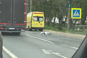 Сбившим человека у владимирского ЗАГСа оказался водитель большегруза