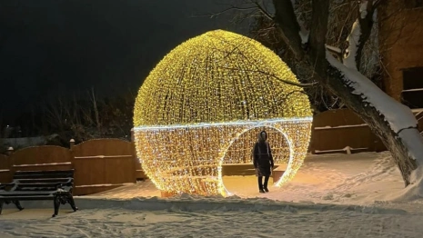 Во Владимире вандалы разгромили и растащили новогодние украшения