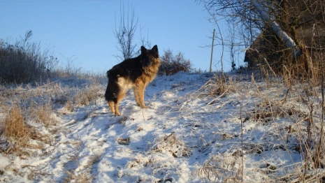 Приметы на 29 января: что можно и нельзя делать в день поклонения веригам апостола Петра