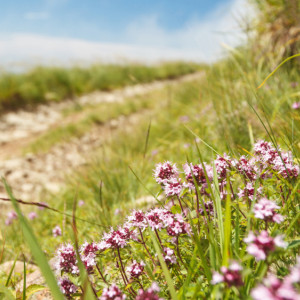 Прогноз погоды во Владимирской области 1 сентября