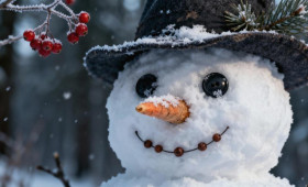 Прогноз погоды на 8 января 2026 года во Владимире и области