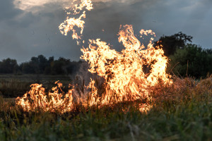 Во Владимирской области спасатели потушили 13 ландшафтных пожаров за сутки