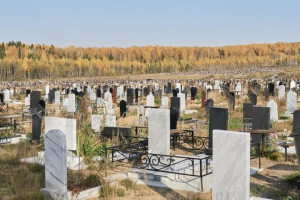Во владимирском микрорайоне Лесной в 2024 году появится новое кладбище
