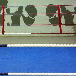 Во Владимире запланировали построить спорткомплекс по многоборью