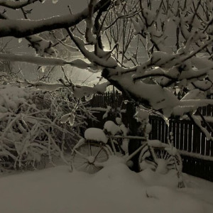 Последствия апрельского снегопада во Владимирской области