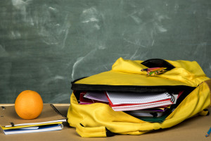 Во Владимирской области в первый класс пойдут более 14,3 тыс. детей