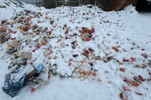 Во Владимире жители пожаловались на незаконную свалку