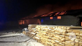 Стала известна причина пожара на пилораме в Гусь-Хрустальном