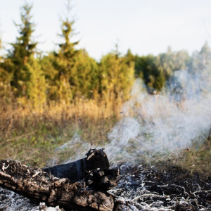 Во Владимирской области спасатели потушили 5 палов сухой травы