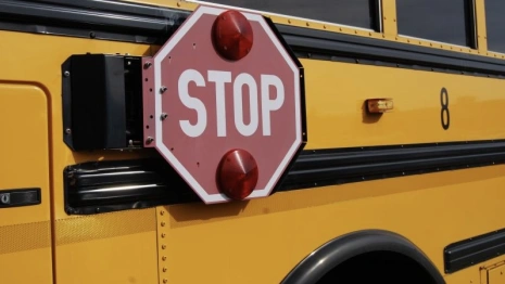 Во Владимирскую область приехали 29 новых школьных автобусов