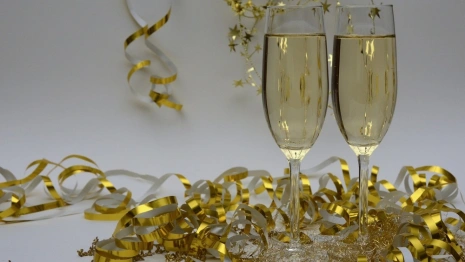 Депутат Госдумы от Владимирской области призвал отказаться от новогодних корпоративов