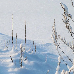 Прогноз погоды во Владимирской области на 20 января