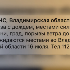 МЧС предупредило жителей Владимирской области о грозе и граде 16 июля