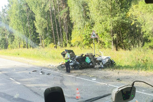 В страшной аварии во Владимирской области чудом выжил 45-летний водитель