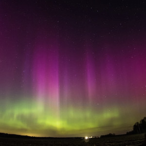 Полярное сияние озарило небо над Владимирской областью