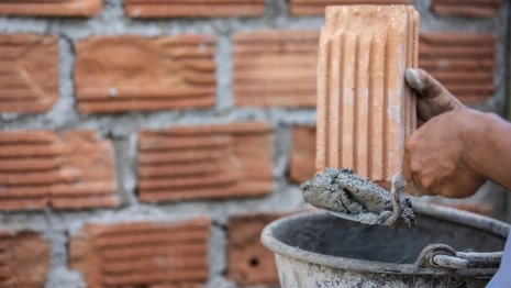 Житель Муромского района ударил женщину-инвалида кирпичом по голове