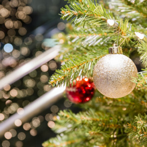 Во Владимире перечислили адреса елочных базаров