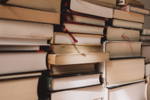 Во Владимире жалобы на образование вошли в топ-5 популярных обращений в конце октября