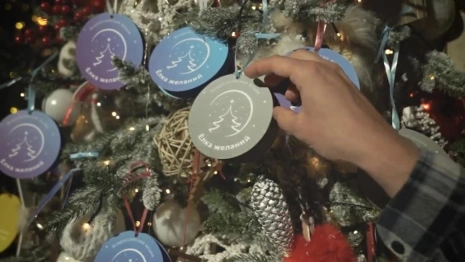 Во Владимирской области открылся прием на заявок на «Елку желаний»