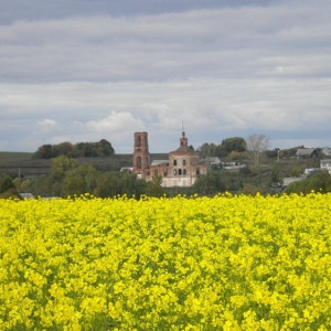 Во Владимирской области создадут маршрут по самым красивым деревням