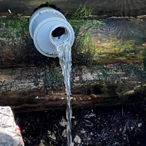 Жители Владимира призвали властей спасти целебный родник