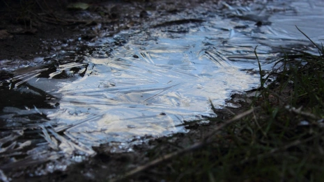 Осень вернется во Владимирскую область в конце недели
