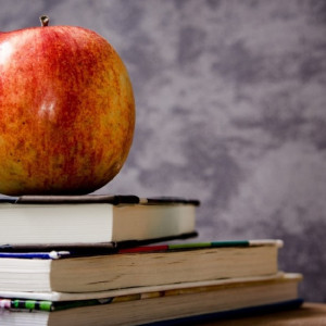 В крупном райцентре Владимирской области построят школу на 500 мест