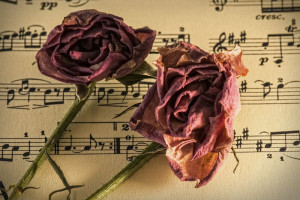 Во Владимире женщина оставила предсмертную записку и покончила с собой