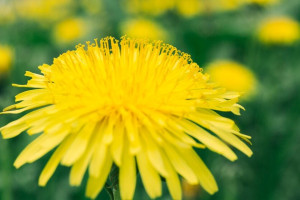 26 день Великого поста: что можно и нельзя 12 апреля