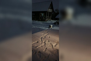 Во Владимирской области первый снег выпал 1 ноября